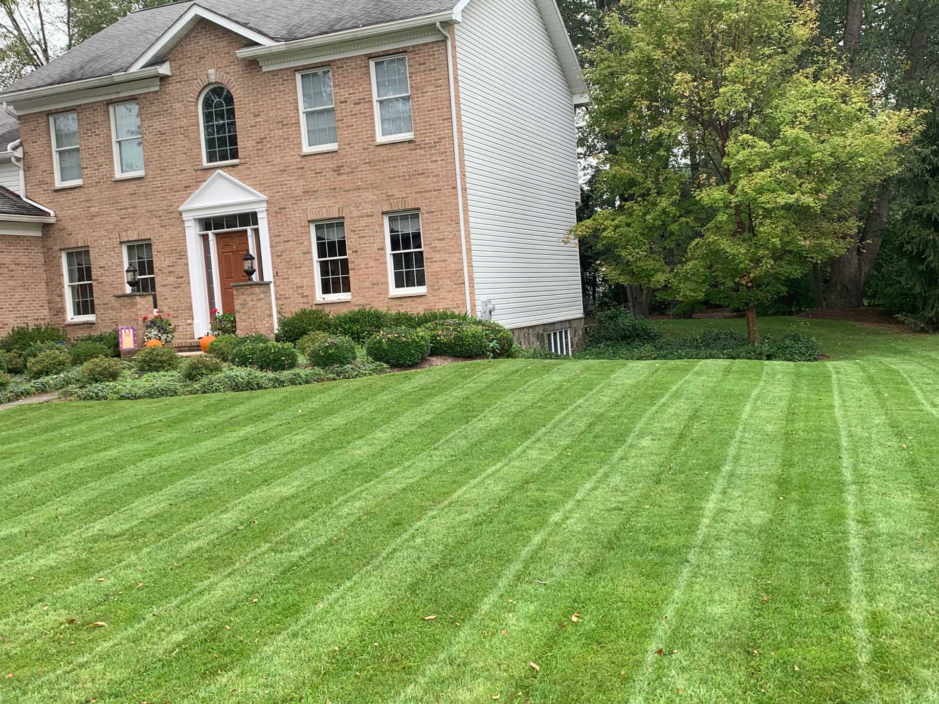 Quality Cuts Lawncare cut grass